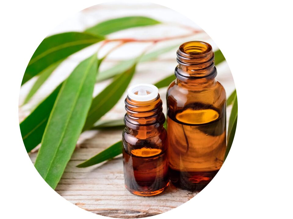 Eucalyptus oil-Ostelife Premium Plus composition