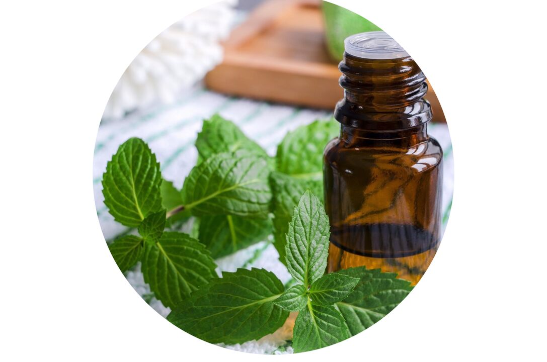 Peppermint oil-Ostelife Premium Plus ingredients