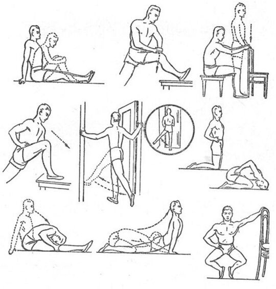 Gymnastics of knee joints